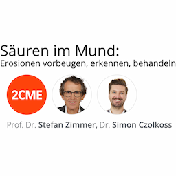 Erosions-Online-Seminar von Prof. Dr. Stefan Zimmer